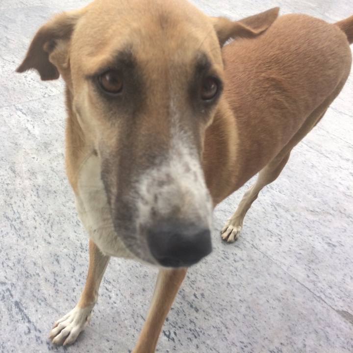 E77dea94 dc48 4952 8ec4 d497ee46df3f 1525777465084