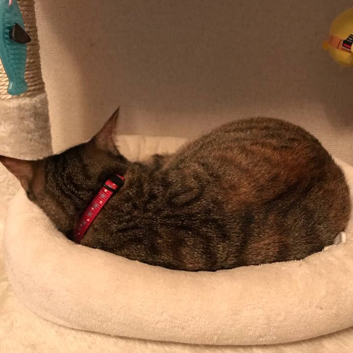 E77e39ef ba4a 4c47 8835 6c93dd77a302 1592612529118