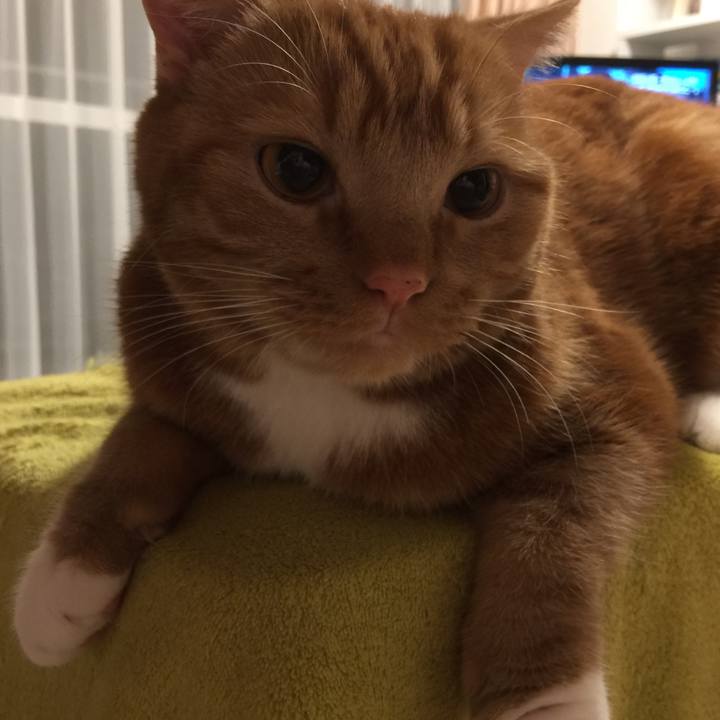 E77e697c 5e54 40da a452 069fb4e1751c 1542059210537