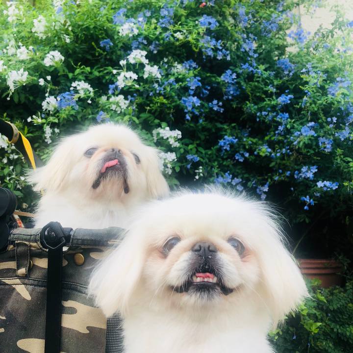 E77e6b4a 6dfc 44ba 8783 9547bd657152 1600470446783