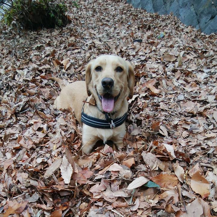 E77e6d69 6380 4740 9c59 abd924d28294 1516332036758