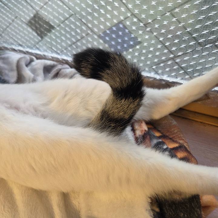 E77e6f78 5cae 4ef4 899f e84375e8294d 1757750915946