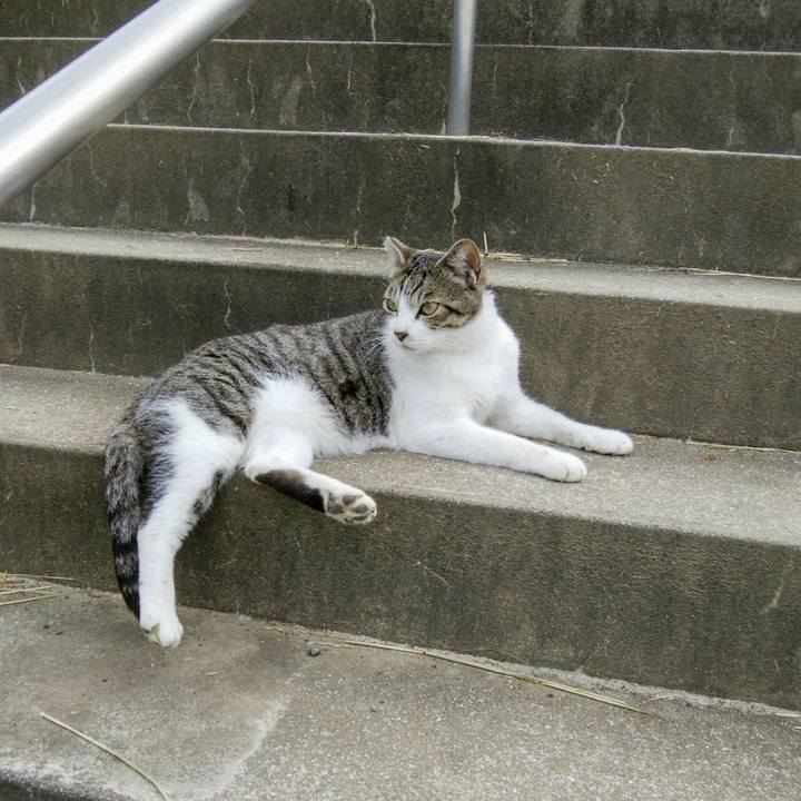 E77e759f 255b 4458 9126 4337308030ac 1560078300502