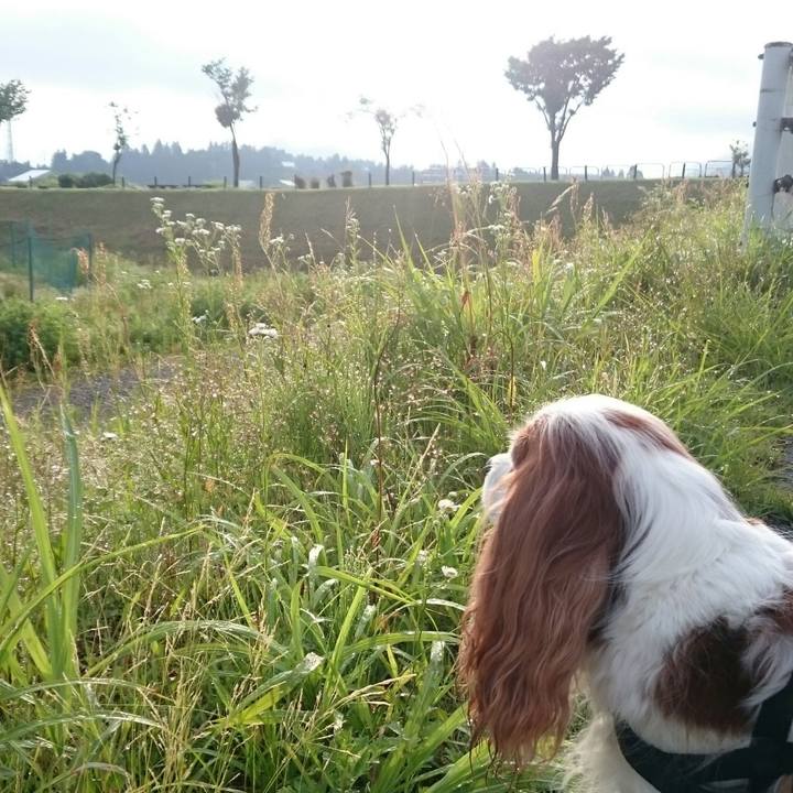 E77e7e59 f2b6 4402 aa07 94f204701a37 1560027677344