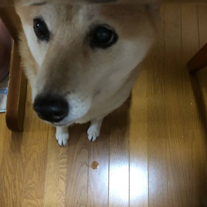 E77e8761 6995 491f bdf2 2cf6968d7e95 1607583841003