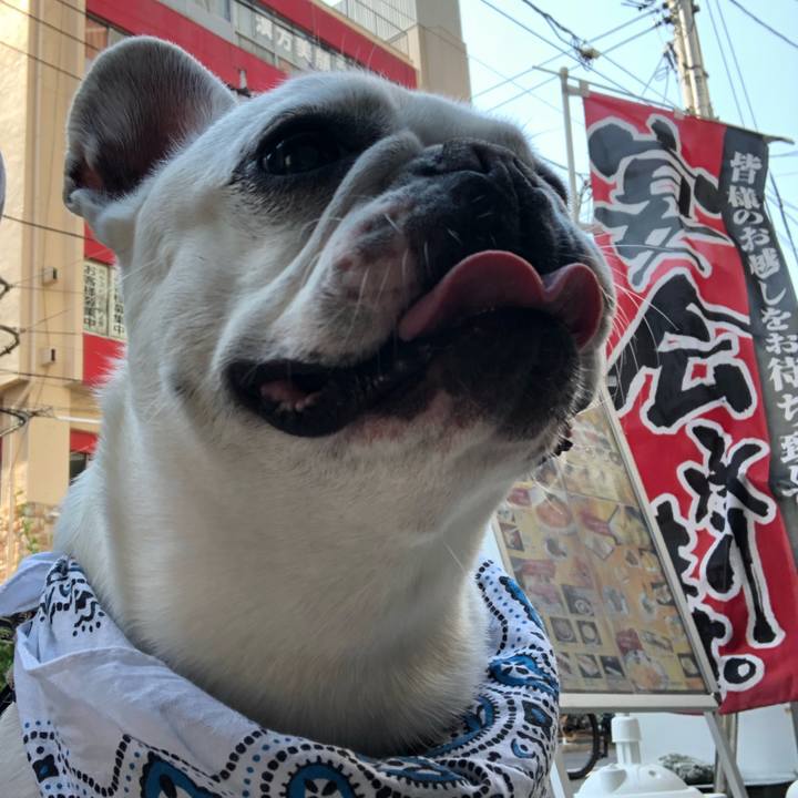 E77e8821 dbf2 4a9c 893b ecf4a12c1a45 1557568617295