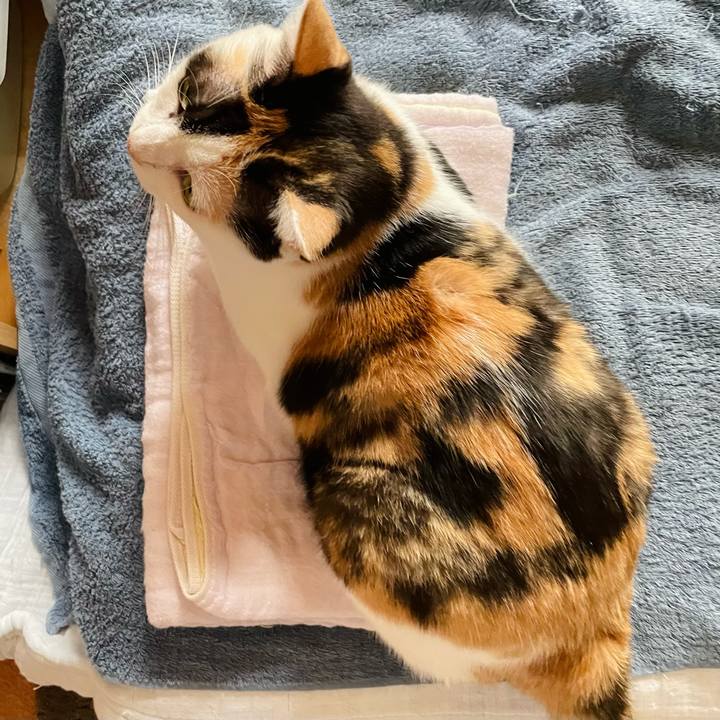 E77e9b37 7e23 43c1 b2d0 1102143d53fe 1633228457464