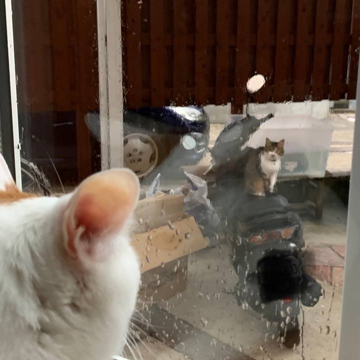 E77eacc8 7267 4353 9fd9 4990d260611a 1616996261100