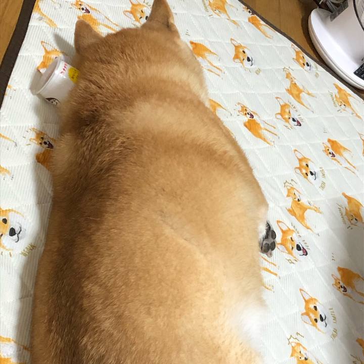 E77f05f7 a52b 4e88 a06a 63f4c538d145 1602594257699