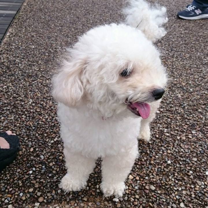 E77f298d 2bef 4cb3 957a a6e29fed68ee 1536584286429