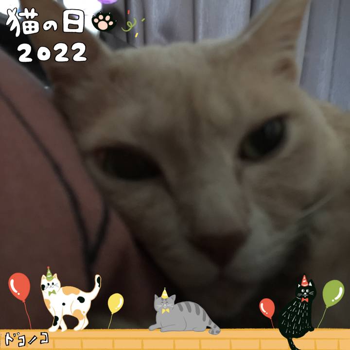 E77f30b0 685a 4878 9da7 c591be03b2fb 1645493535388