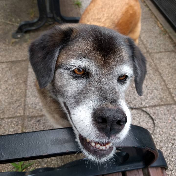 E77f37b1 269a 49d8 87e1 f2aeadf8d0b0 1530749326093