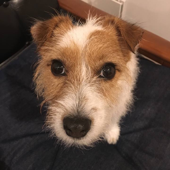 E77f743f 8e4d 42cf 9675 a4a9d5e62d33 1529235668333