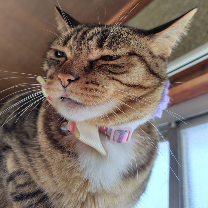 E77f7898 7a29 41bd 92f0 3d0eeca9ccac 1763955308405