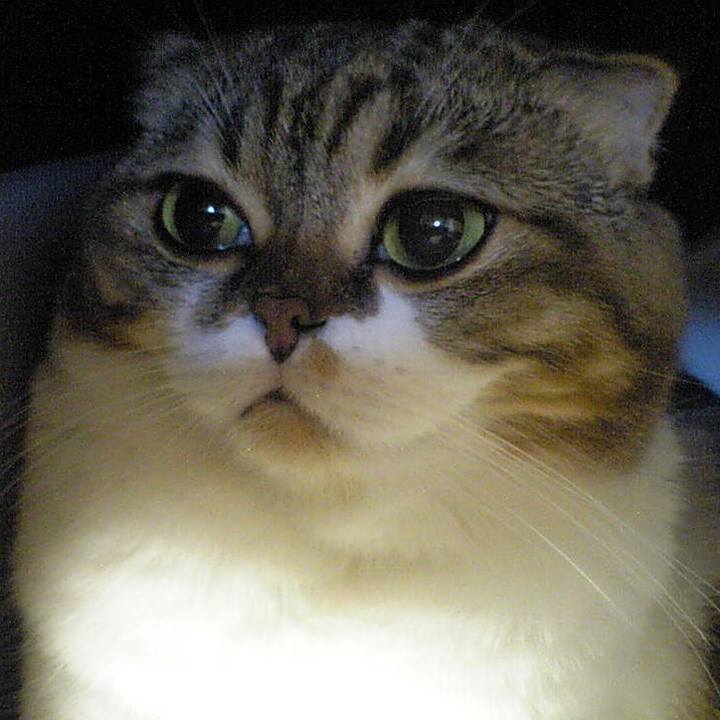 E77f7f0f e09d 417f 9468 025196e64e81 1582124082985