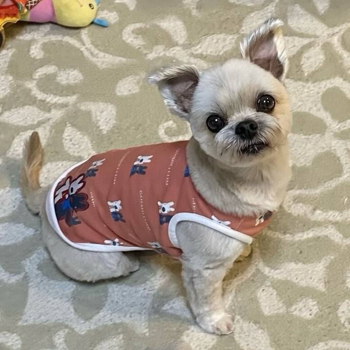 E77f8f9d ef12 4229 a98a 0d864fa1b7e5 1768653823001