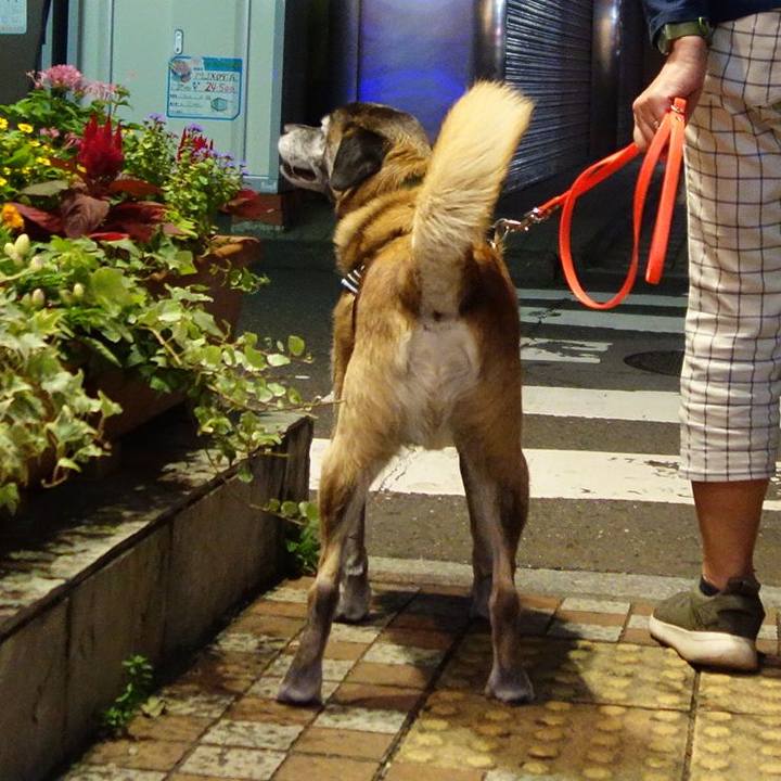 E77f9069 33f9 46dd b1f7 9c4f5fba237c 1648168428189