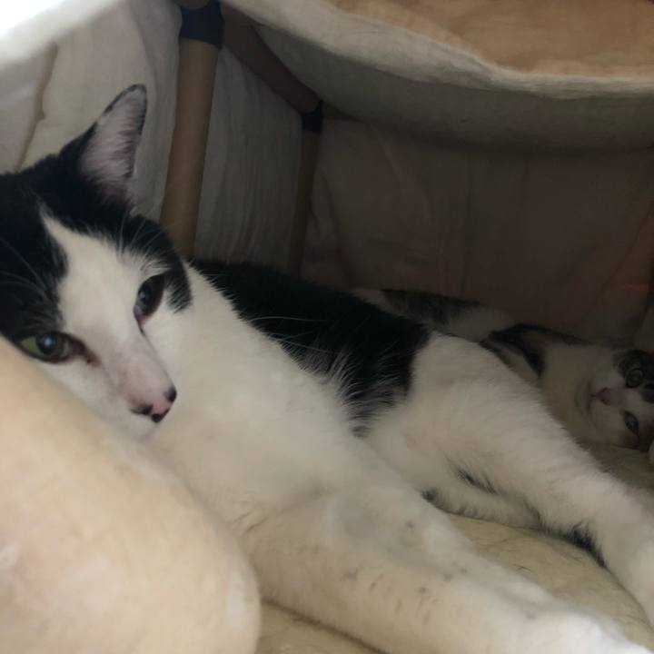 E77fae21 7af7 459c b23c ca7371e21c5f 1583445839727