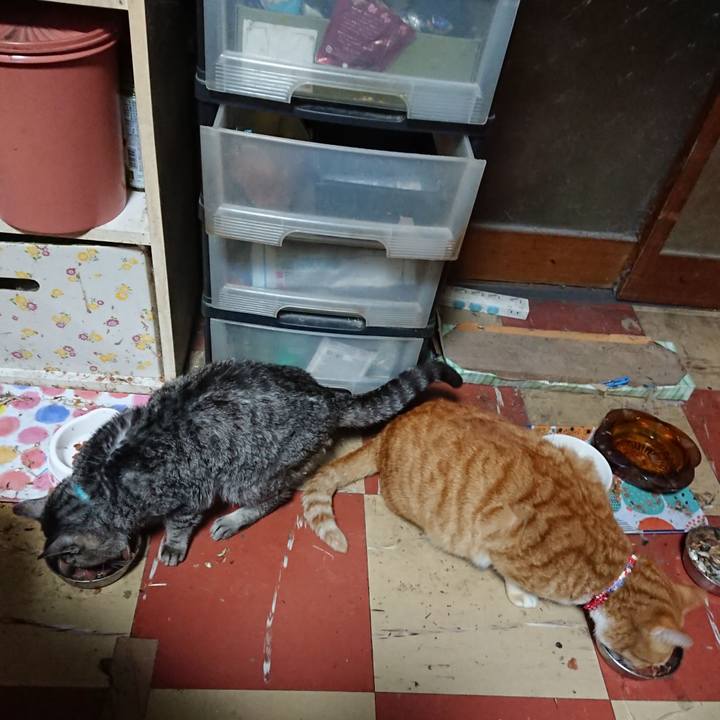 E77fca3c 879d 4559 bd79 ddd0499441ad 1577014366318