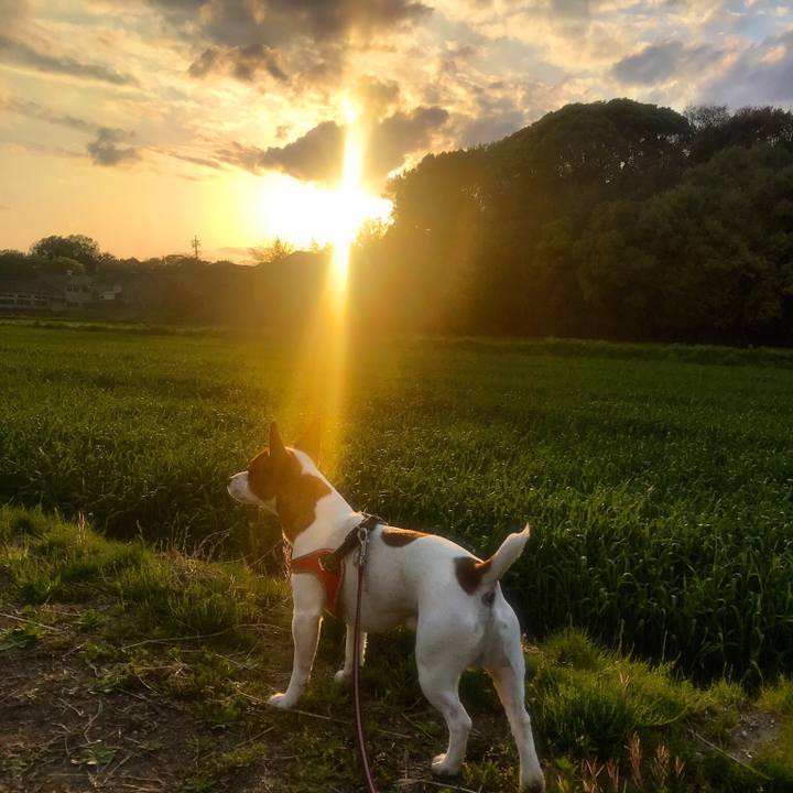 E77fded8 3ddb 419c 8d43 81256d054fc2 1523193207680