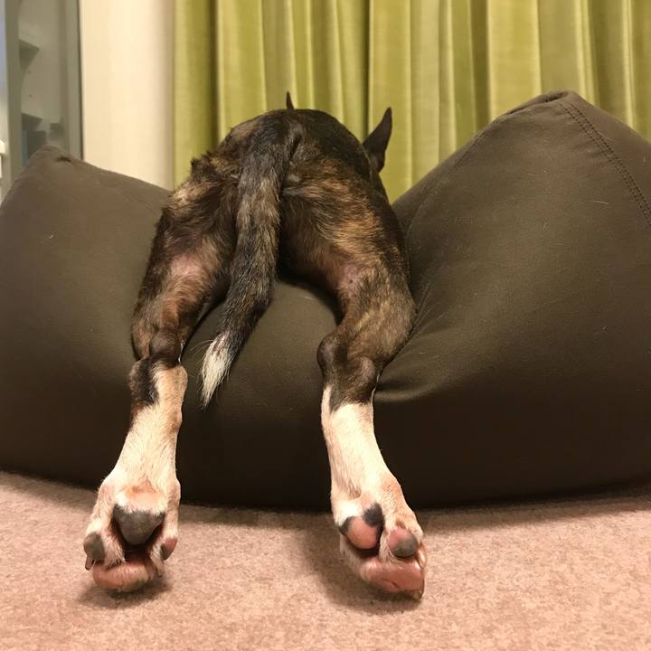 E77ff39a 3c72 4287 834b ef80f0c8c011 1524406904910