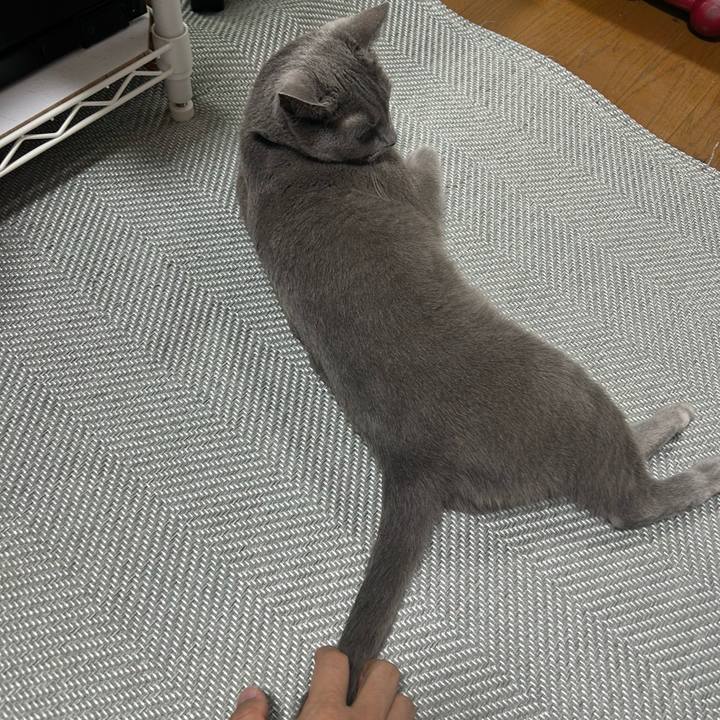 E7802c4e 9ddb 417f b755 a8d818ef7811 1718614744211