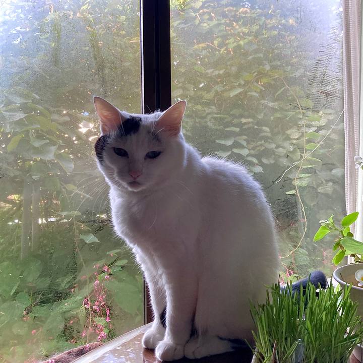 E7802d58 ccdd 4c9f b205 e1a4cb4dbff3 1630987340040