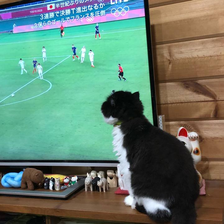 E7804896 9896 4e36 8d9f 82a5f4ca4a83 1627479201323