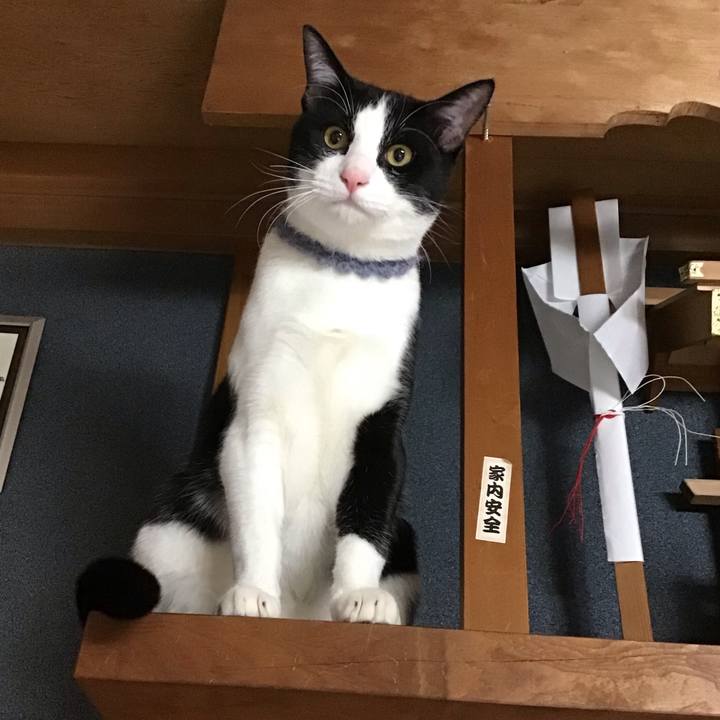 E7805e90 56a2 4582 ae3a 5be86b3d9fe9 1640508682449