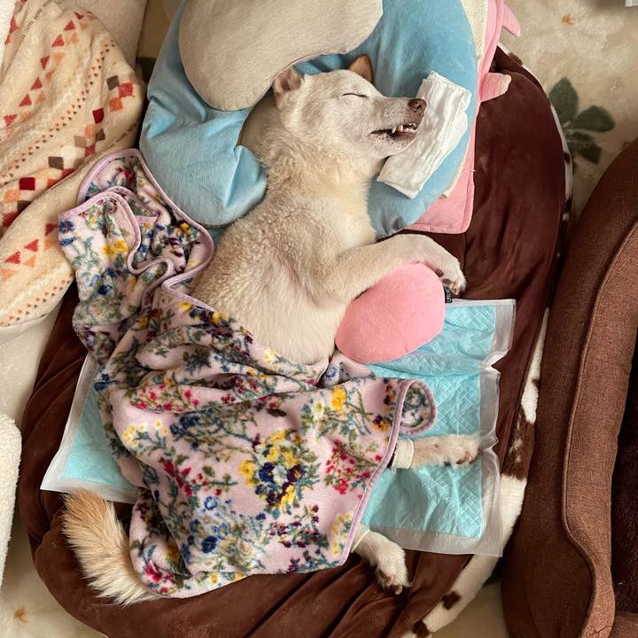 E780b141 e8af 4f71 a957 1558d83630b5 1677462670182