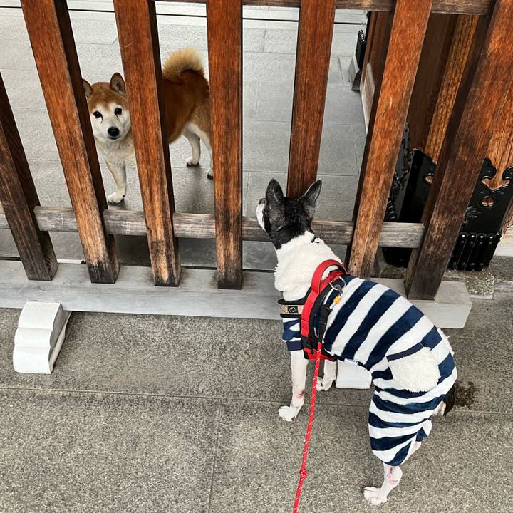 E780c098 476e 4ff0 9425 fa6d399f539a 1642324123272