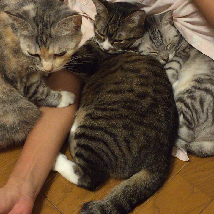 E780c35c 72c9 406f 8fd0 3b2afe9b5c96 1547134184222