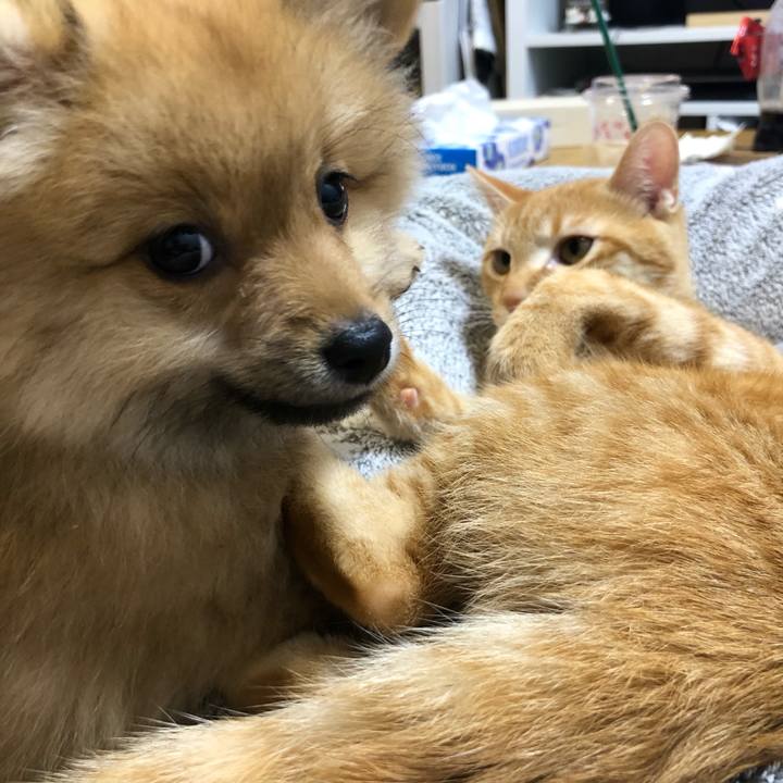 E780c6a1 eea6 4932 9b66 00a9c47c97cd 1574690691548