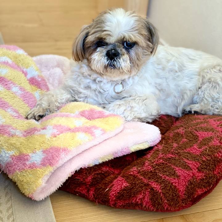 E780d048 1027 4f1d a4bc 7453b38d43ca 1676078820343