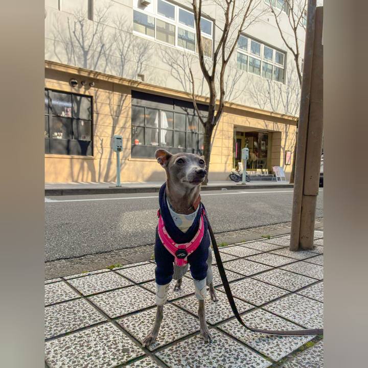 E780d8be 7079 449f 9871 2cd3ef4404ca 1775212942702