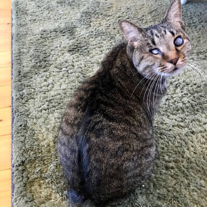 E780fb51 37b2 47d5 8c03 0e93226520ea 1577175880737