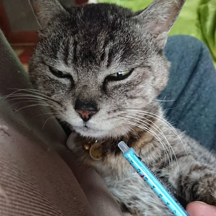 E781337b 0d2c 437a a77c 047d2c31ee40 1588111903504