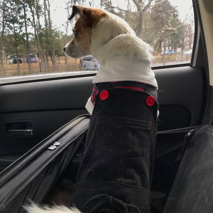 E78177a2 abfd 4439 9e52 9885f6e2c932 1547368925775