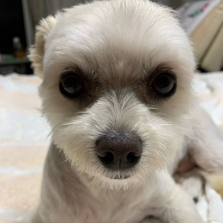 E781a94b d62d 4333 8a70 2ac04741a4ec 1624543966783