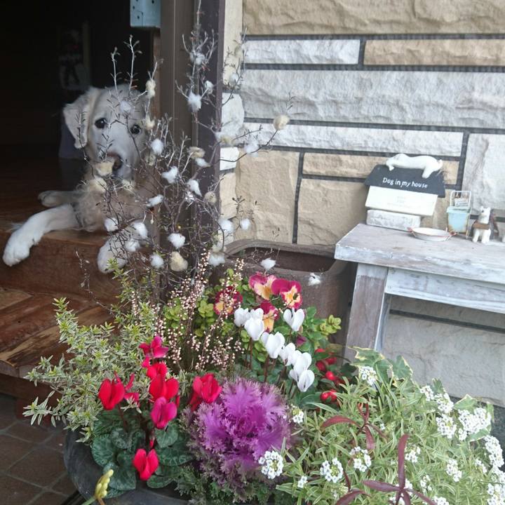 E781b215 ebde 4a07 918e 23d8c8679b6c 1545535650219