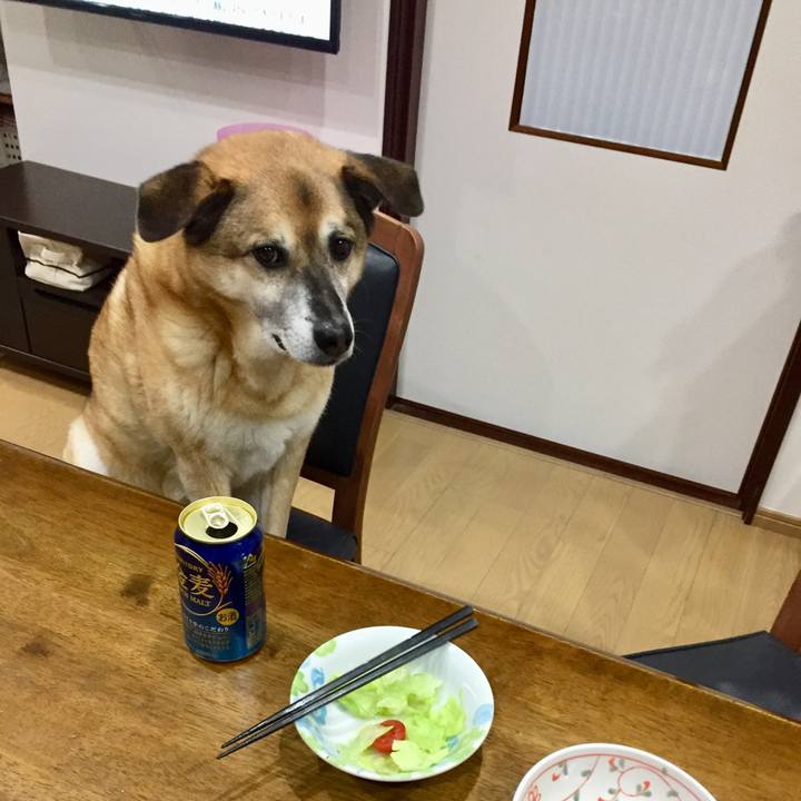 E781b491 0eb1 47d3 888a 5010210cd986 1582802998838