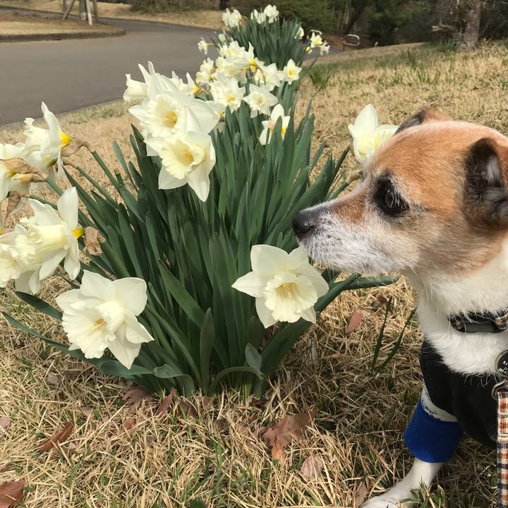 E781d8b5 cac0 49bb 965d c8edc7672660 1585271143739