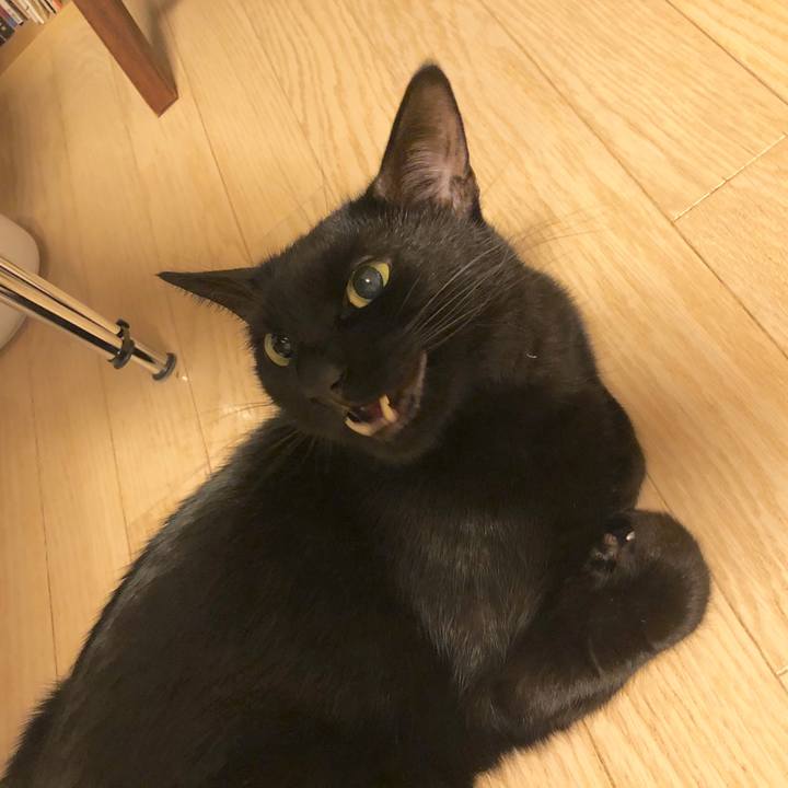 E781d909 d171 4019 9988 1aaefc94c99e 1578651156740