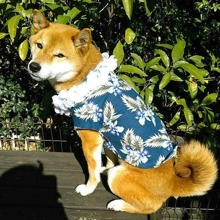 E781e015 814f 4cc7 99f3 9cd245c6b748 1555308440014