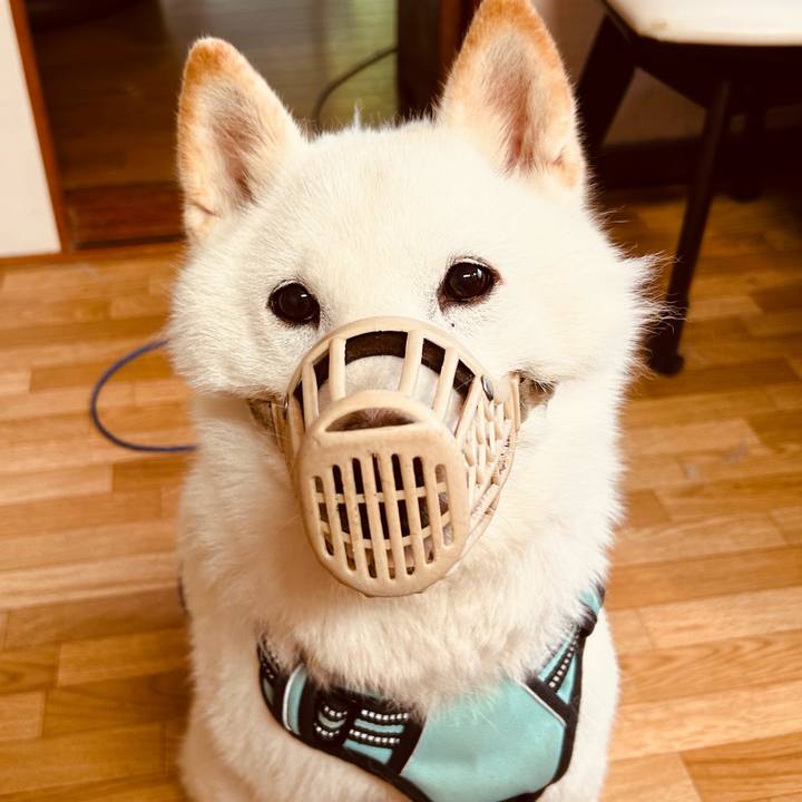 E782045c 00a1 47f8 b1b8 385d5940046a 1686949607098