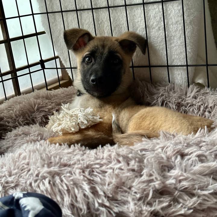 E78261c3 2952 4e03 b179 62972d1d055c 1697941458803