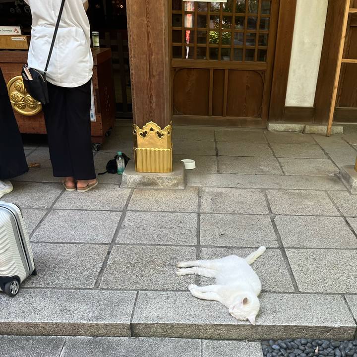 E78282d8 c413 4793 ae99 c01f5cccd579 1724592052000