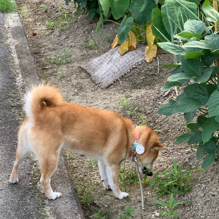 E782a6fc e2a2 45e5 9efe a2ffcdbe3b7f 1564359576217