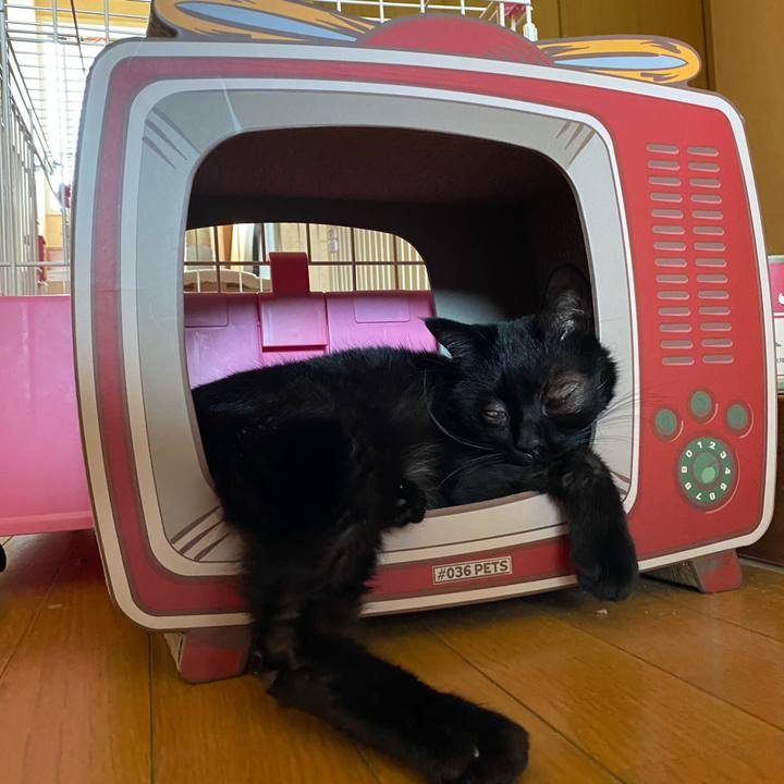 E782a770 2a99 4beb 935c 40a9f182394d 1596267943362