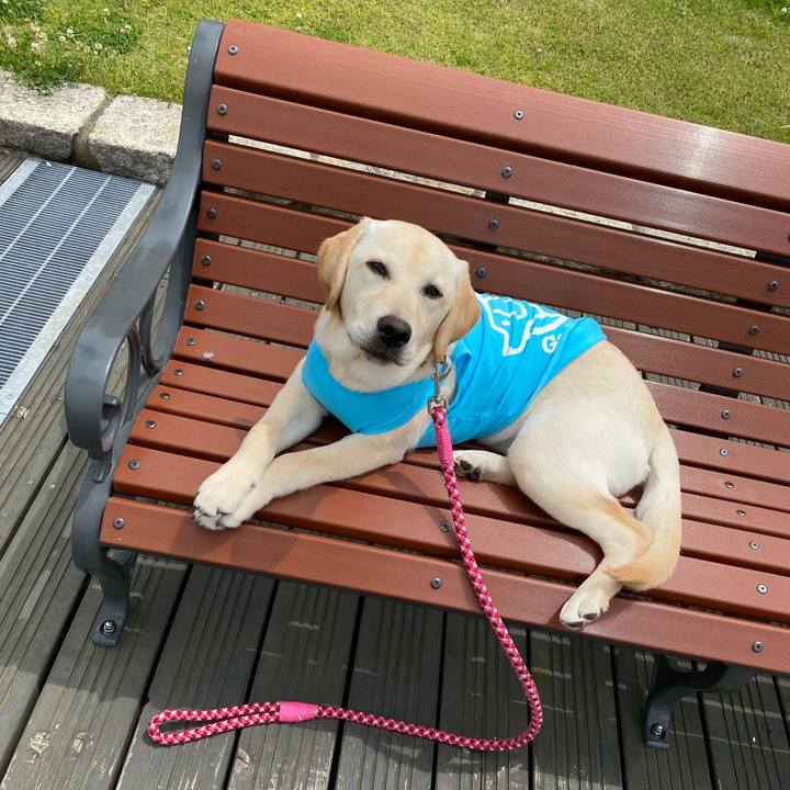 E782a9fd bdca 4e5a 9ab8 0fdad485bd9b 1621258494151